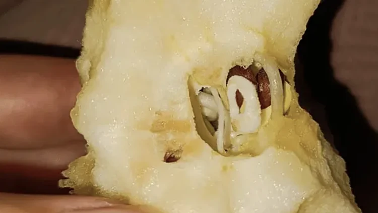 Screenshot 2024 03 20 At 16.33