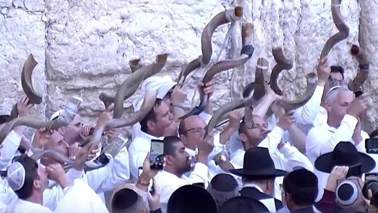 הסיכום היומי: היום ה-167 למלחמה