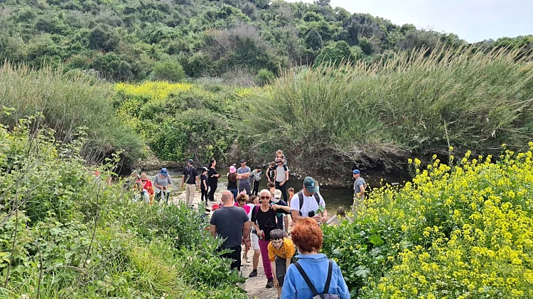 התחזית לשבת: מזג אוויר נוח. בתחילת השבוע - הגשם חוזר