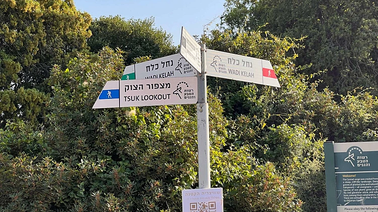 התחזית לסופ"ש: התחממות קלה ומזג אוויר נעים