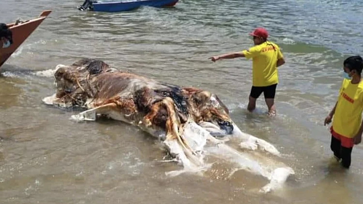 Screenshot 2024 04 10 At 14.27