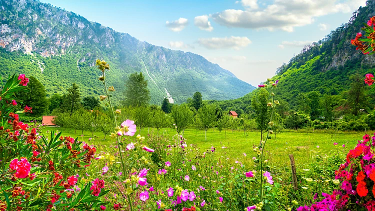 מונטנגרו משגעת באביבdurmitor park.,montenegro