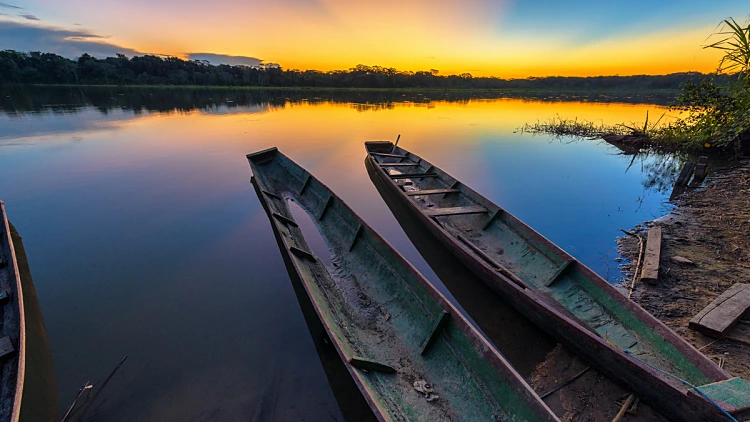 Dramatic,sunset,in,the,amazon,rain,forest,in,bolivia,in
