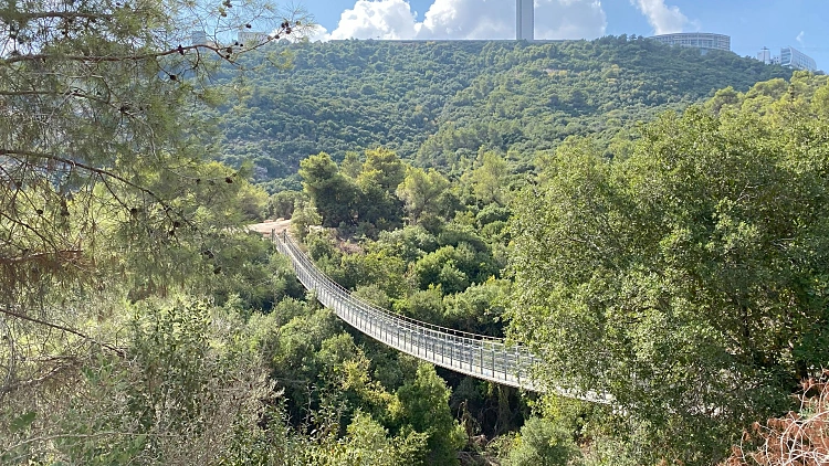 פארק הגשרים בנשר