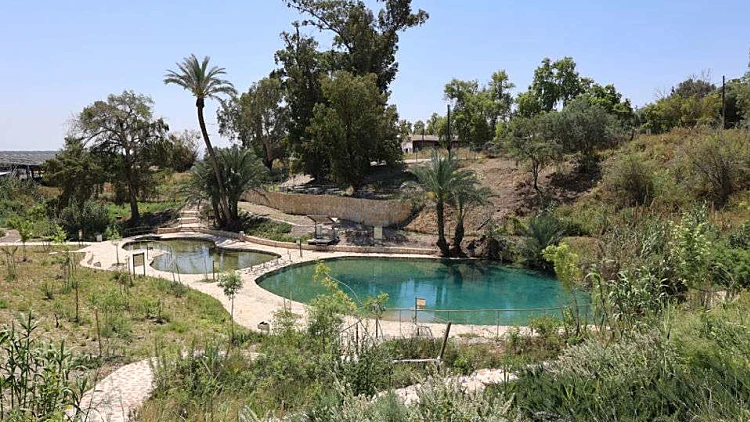 הגן הלאומי עין יהודה