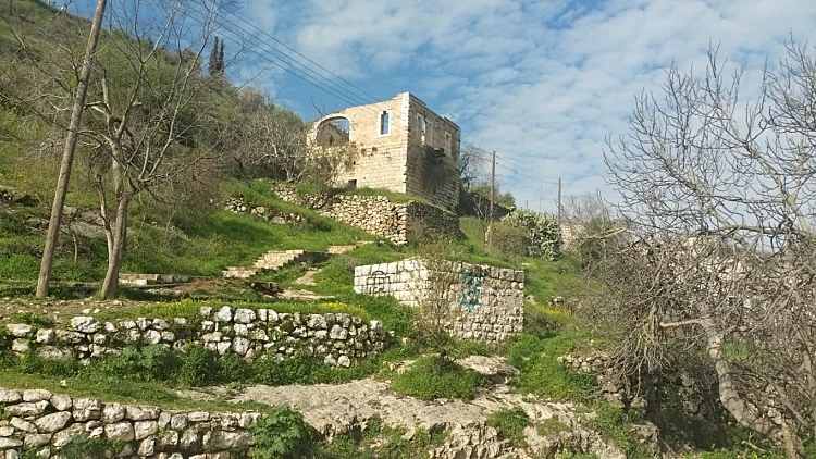 שמורת טבע ליפתא