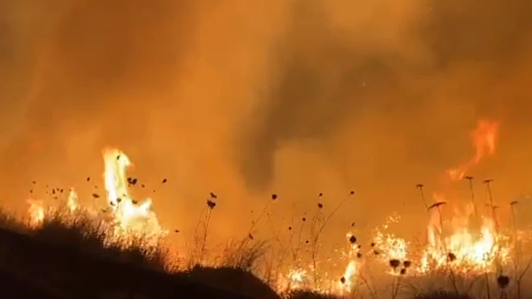 שליטה בחלק ממוקדי האש בצפון, 16 נפגעו קל: "אלפי דונם נשרפו"