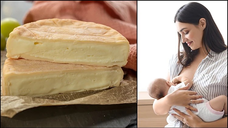 Shutterstock Milk Cheese