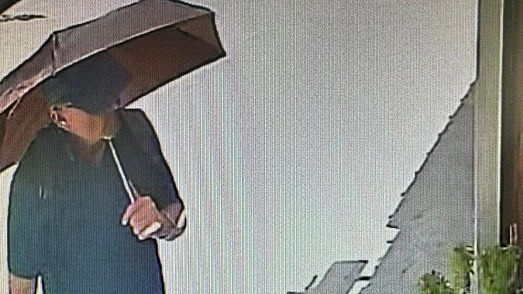 ד"ר מייקל מוסלי בתיעוד ממצלמות אבטחה ביוון, בטרם נעדר