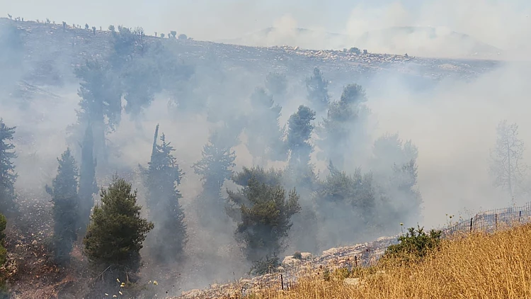 שריפה באזור הצפון