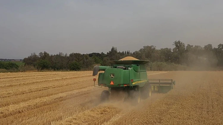 התחזית לערב החג: התקררות, עם סיכוי לטפטופים