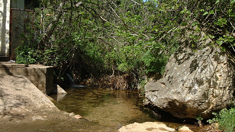 התחזית: מזג האוויר נעים - לקראת גל קור קיצוני