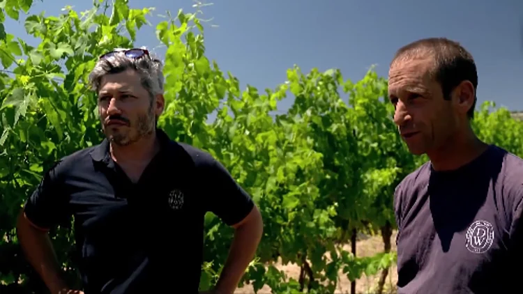 "שכחו אותנו": התושבים שנותרו בצפון - ונלחמים על מפעל חייהם