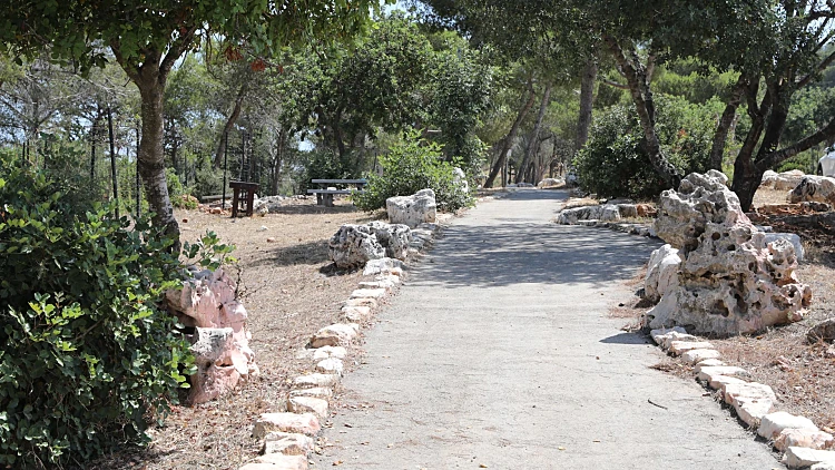 יער צ'רצ'יל נוף הגליל