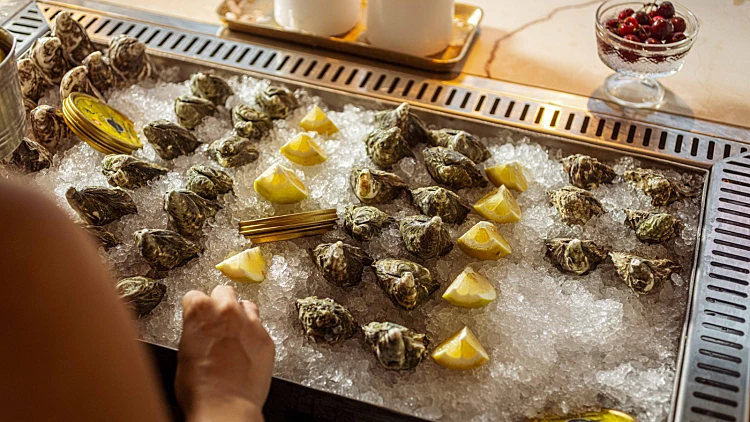 אויסטר קלאב