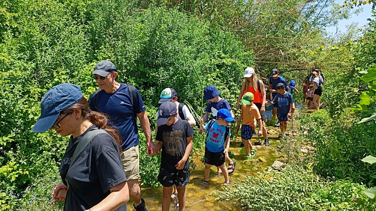 התחזית: לאחר הגשמים הקצרים - מזג אוויר חם ויבש ביחס לעונה