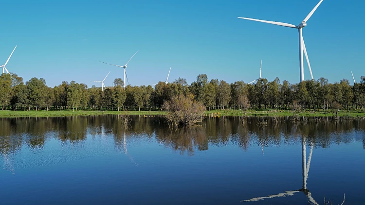 התחזית: נוח בתחילת השבוע - לקראת גשמים ושיטפונות ברביעי