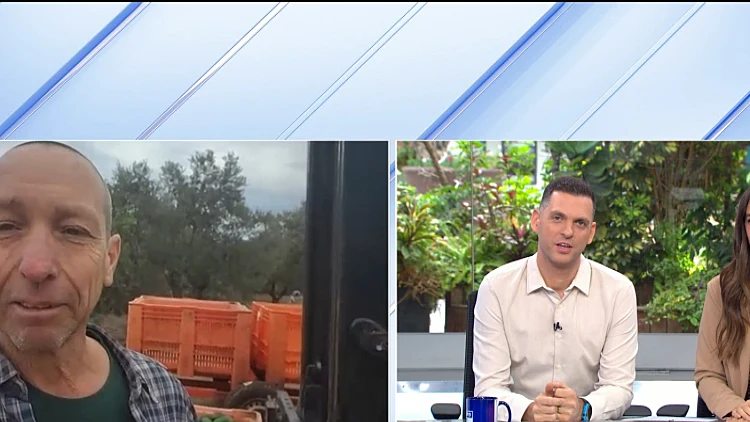 החקלאים בצפון שממשיכים לעבוד במטעים