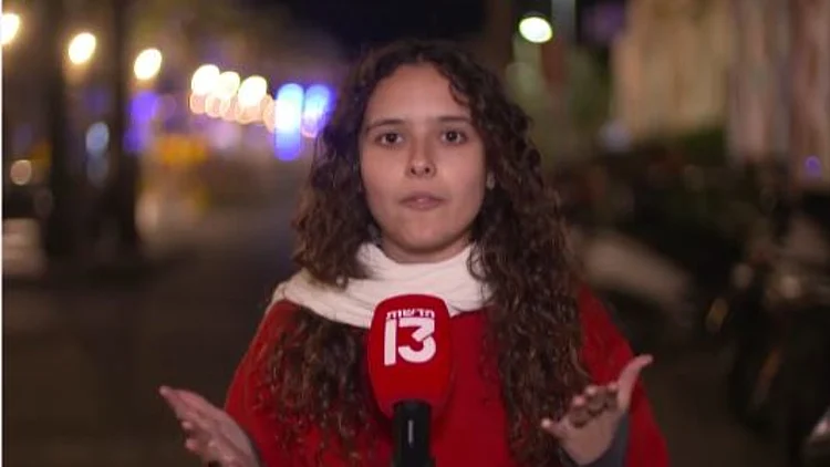 נכדתו של אלכס דנציג: "מאשימה רק את הדרג המדיני"
