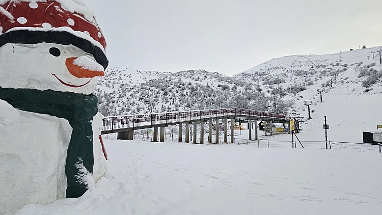 ההר הלבן ריק מאדם - בשיא החורף: סיור בחרמון הסגור