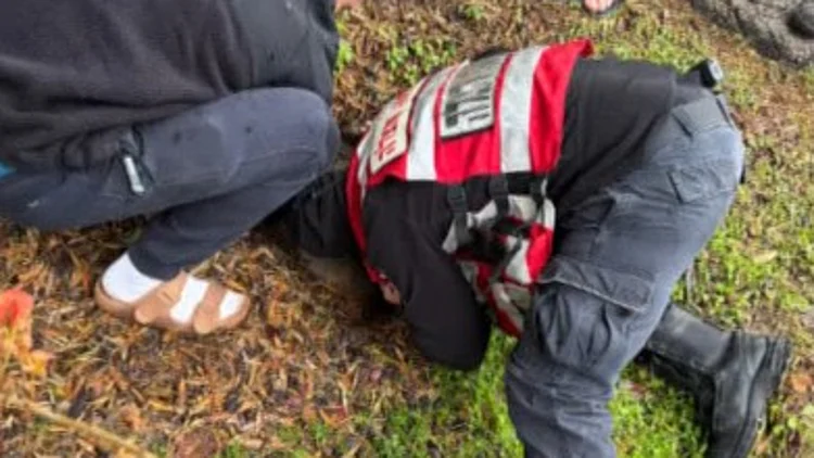 צפו: החילוץ המרגש של הכלבה שנלכדה בבור הביוב בשיא הגשם