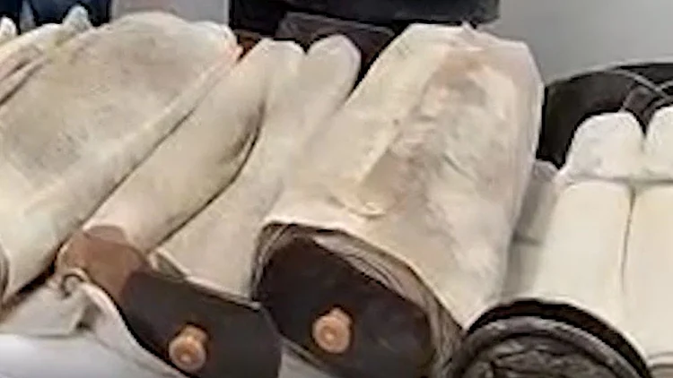 בסיומו של מבצע מורכב: 3 ספרי תורה שנגנבו אותרו בתל שבע | תיעוד