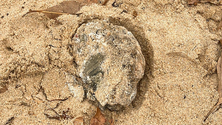 Northern Beaches Council 3