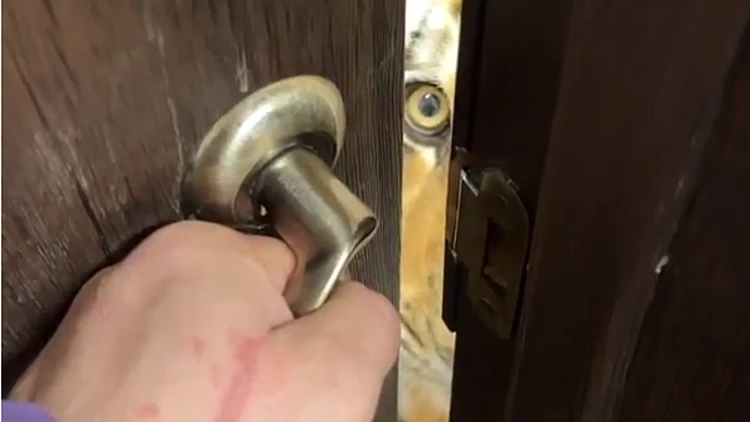 צפו: פתחה את הדלת וציפתה לה הפתעה מפחידה