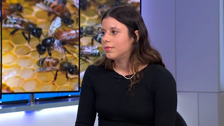 הבית שלכם שווה יותר - כיצד תוכלו למכור את הנכס שלכם בצורה קלה יותר?