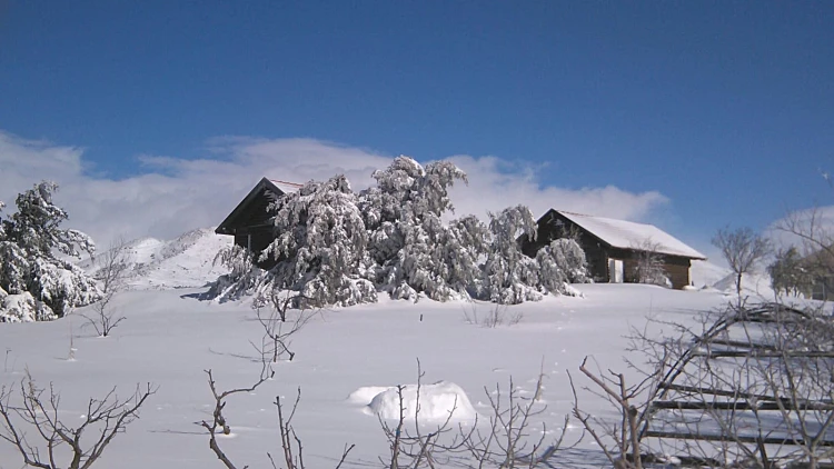 לא רק בשלג: המלצות לטיול מקסים באחד האזורים היפים בארץ