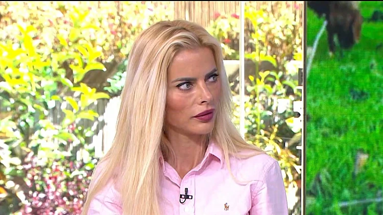 האם הסכם ממון באמת מבטיח לכם שמירה על הרכוש שלכם?