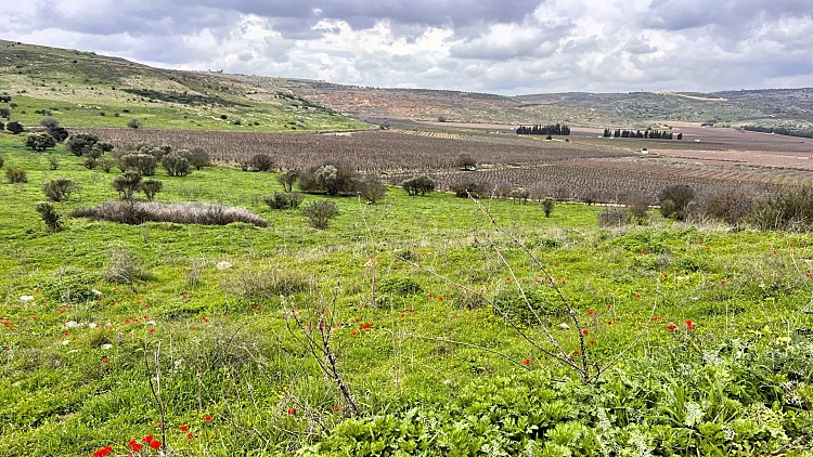 ירוק בעיניים: יום טיול משגע באזור יפהפה בגליל העליון