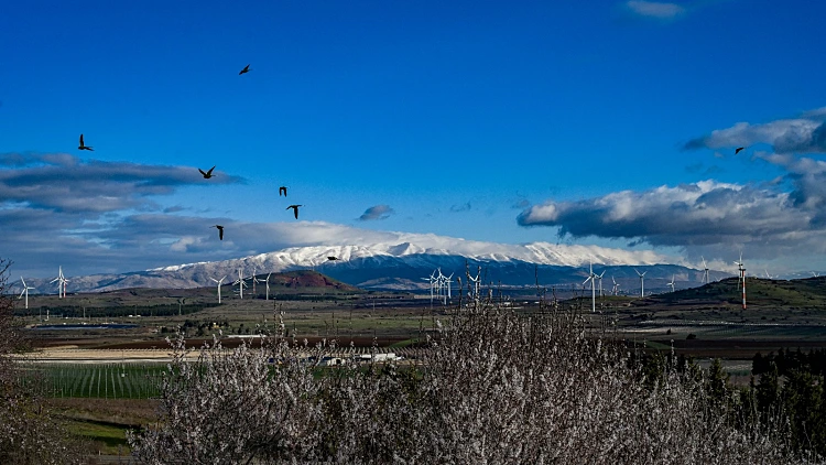 התחזית: ירידה ניכרת בטמפרטורות, ייתכן גשם מקומי קל