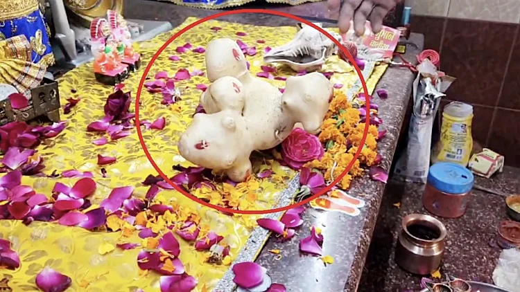 תפו"א מיוחד נמצא בהודו ויש אלו הסבורים שמדובר בהתגלות אלוהית