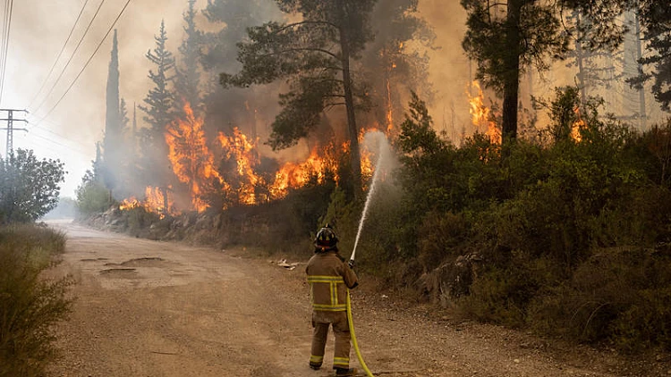 האש בהרי ירושלים: מוקד שריפה ליד שער הגיא; 8 מטוסים הוזנקו