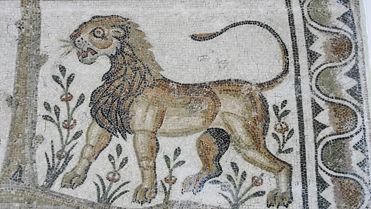 Bite Marks Reveal A Gladiator's Fatal Encounter With A Lion In Ancient Britain