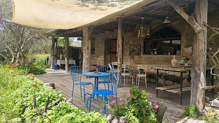 שימו שמן: מסע בין בתי בד עתיקים ומודרניים ברחבי הארץ