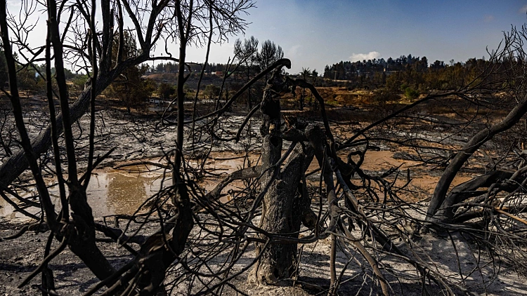 נתניהו: "ישנם 18 חשודים בהצתה"; במשטרה טוענים: "נעצרו 3"