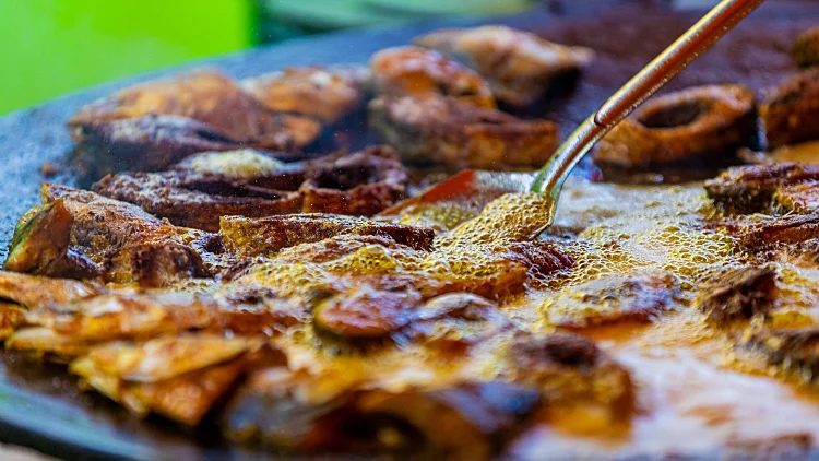 מאה תלמידים חלו לאחר שאכלו מזון מזוהם בנחש