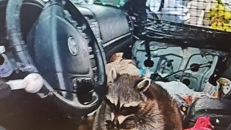 Springfield Township Police Department