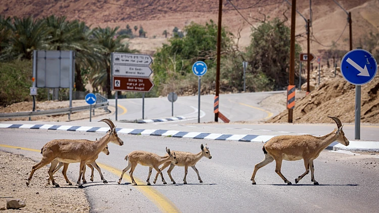 התחזית: עלייה בטמפרטורות, לקראת גל חום בשבוע הבא