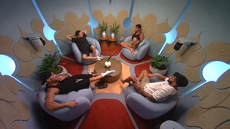 "מי את בכלל?": טל, גלעד והארזים נגד שלי אבנשטיין