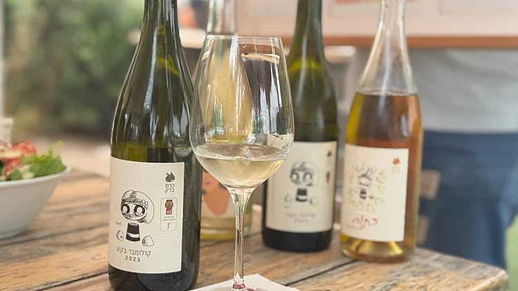 יקב כרם ברק