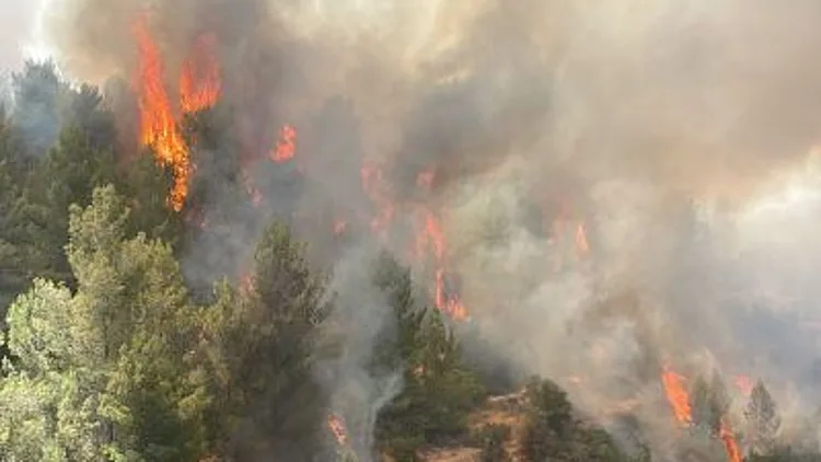 שירותי הכבאות: נבלמה השריפה באזור עין כרם