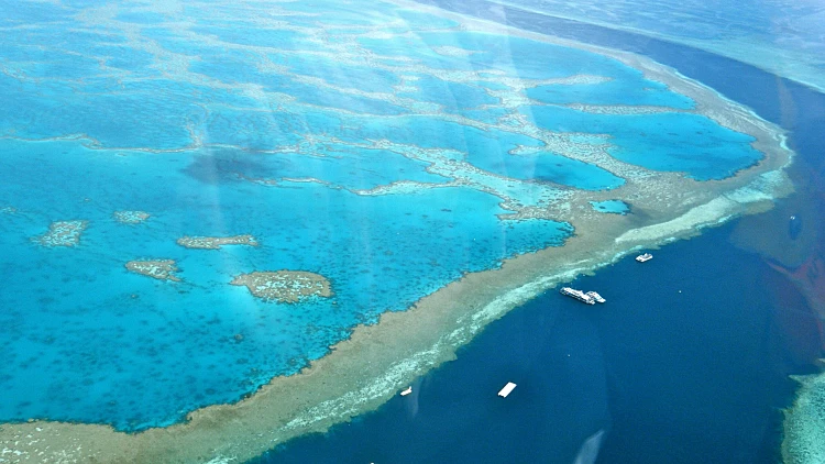 Amazing Great Barrier Reef 1