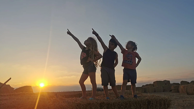 חוות הדקלים