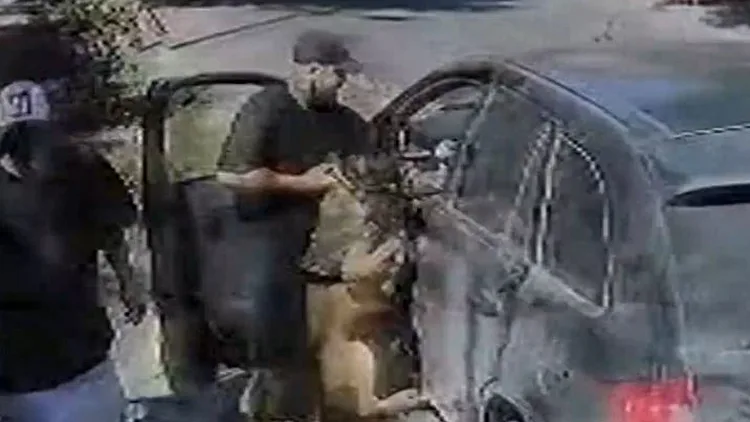 "קפץ עליי כמו צ'יטה": כלב התקיפה, החוב והטעות בזיהוי | תיעוד