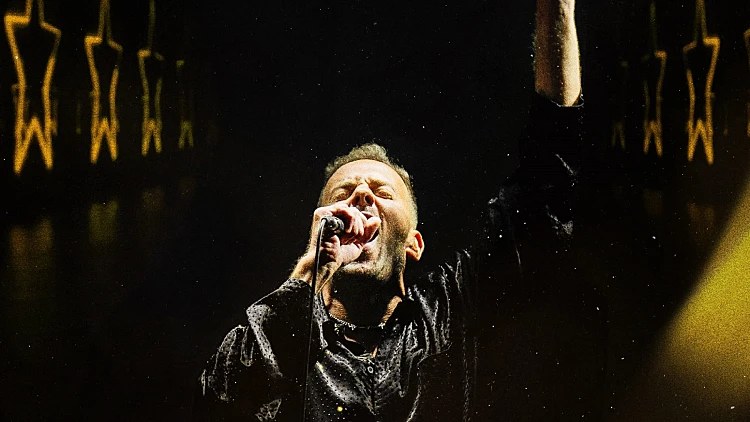 ניקי גולדשטיין