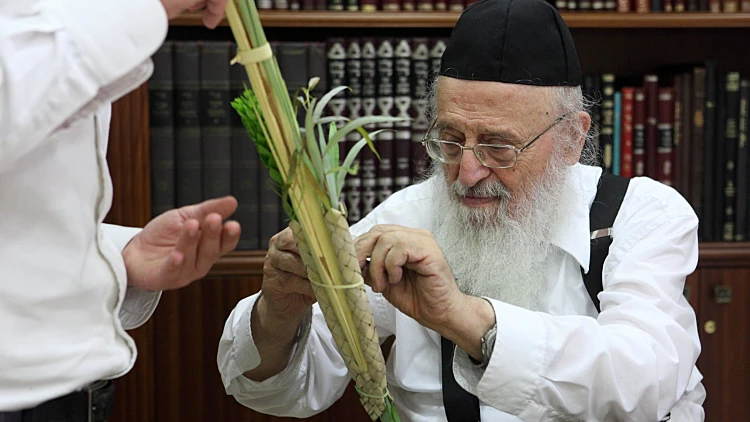 זקן הרבנים של דגל התורה: "אסור להתגייס, צבא זה שמד" | צפו