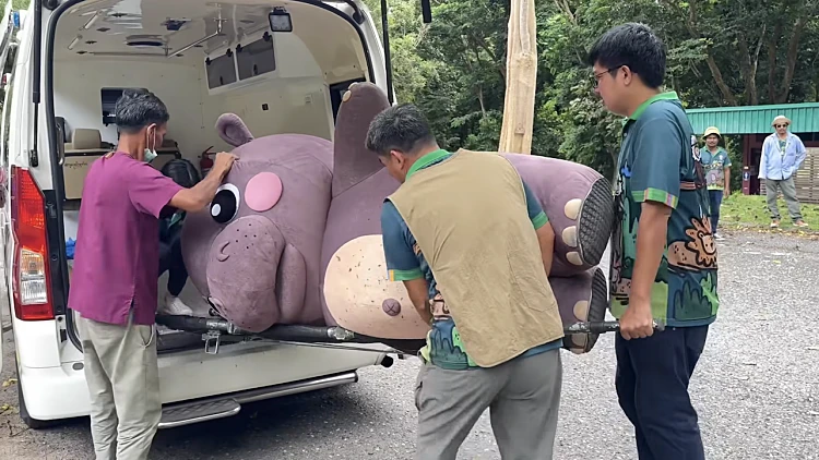 עובד מחופש להיפופוטם "תקף" את צוות גן החיות ופתח במנוסה